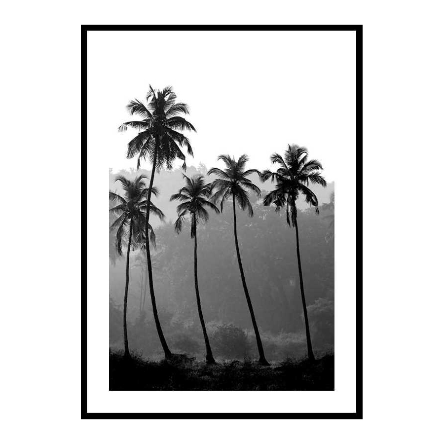 Poster Gallerix Palms Storlek: 50x70 cm