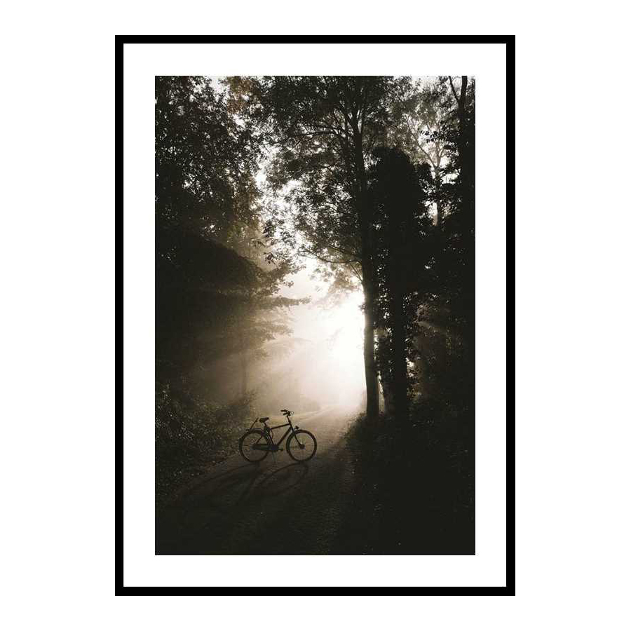 Poster Gallerix Bike In Forest