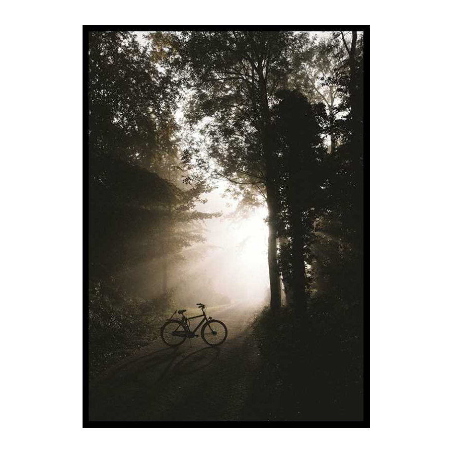 Poster Gallerix Bike In Forest
