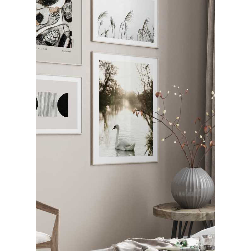 Poster Gallerix White Swan