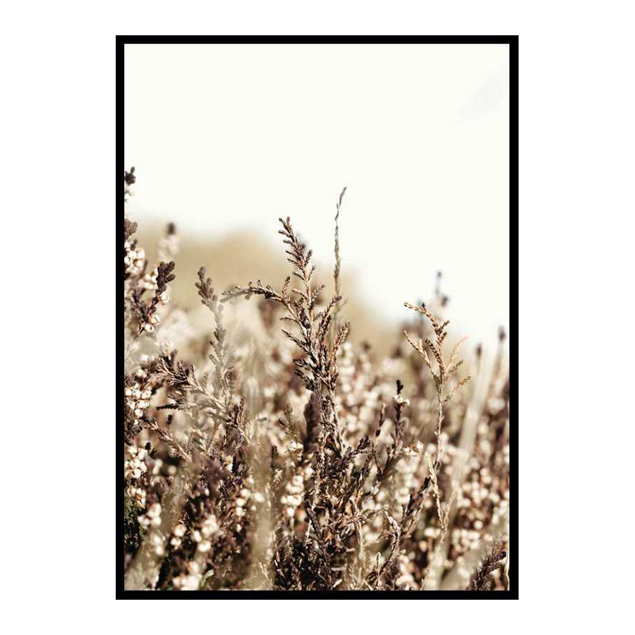 Poster Gallerix Growing Fields