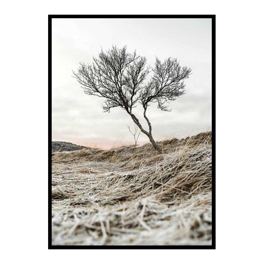 Poster Gallerix Iceland Tree