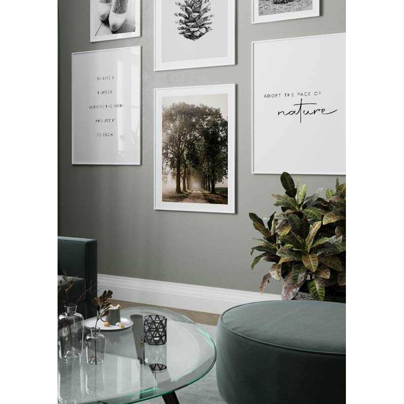 Poster Gallerix Morning Road