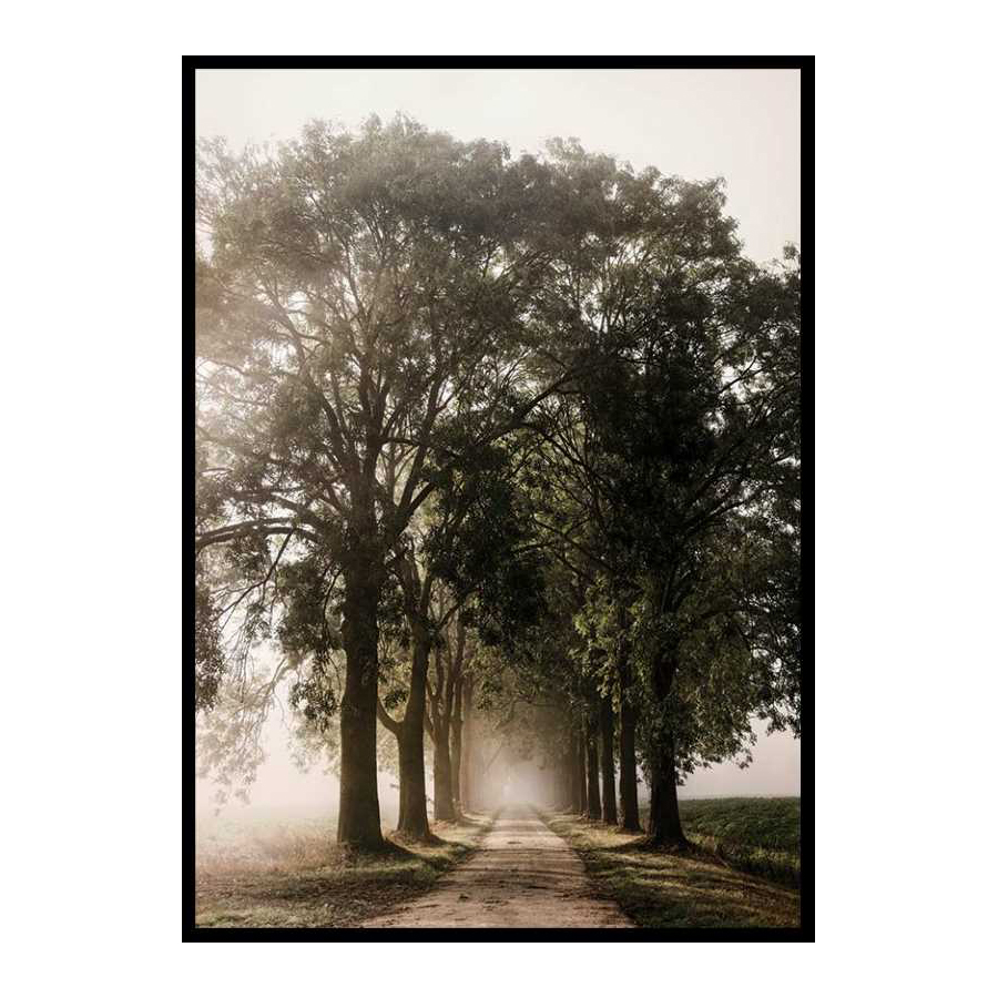 Poster Gallerix Morning Road