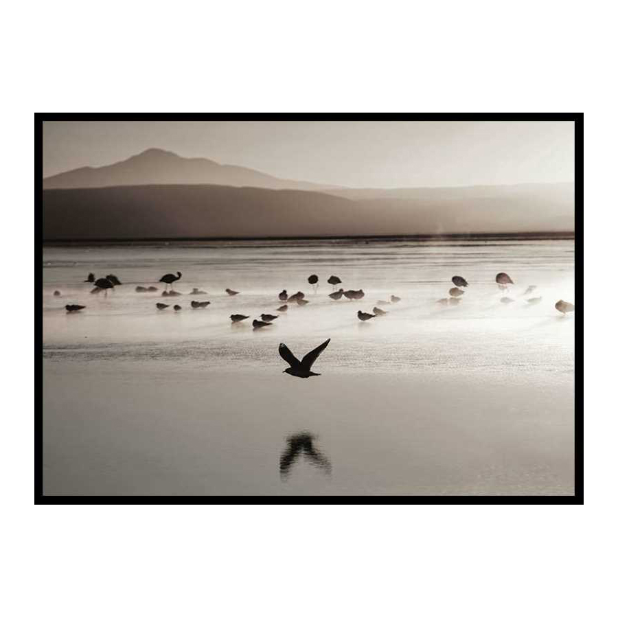 Poster Gallerix Birds In Nature Water