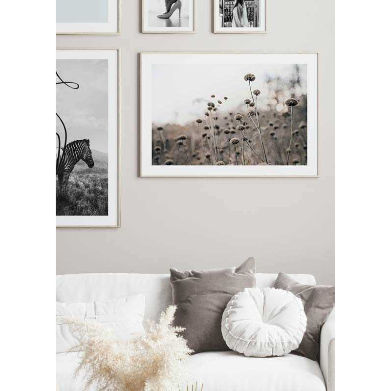 Poster Gallerix Monochromatic Flowers