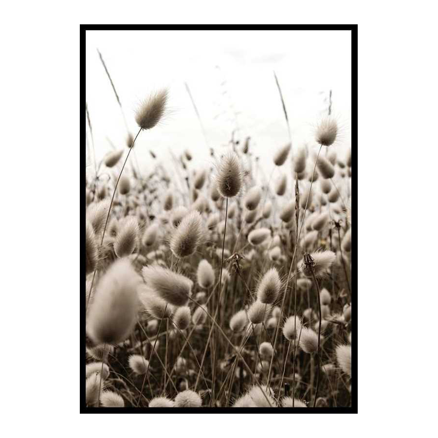 Poster Gallerix Reeds Field