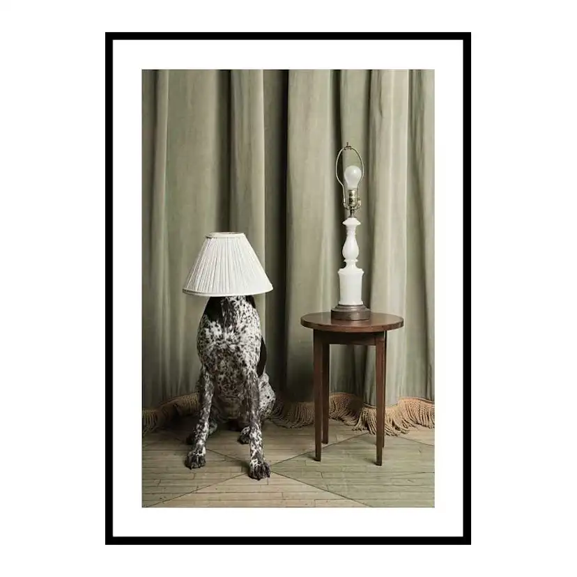 Poster Gallerix Hiding In Plain Sight Storlek: 70x100 cm