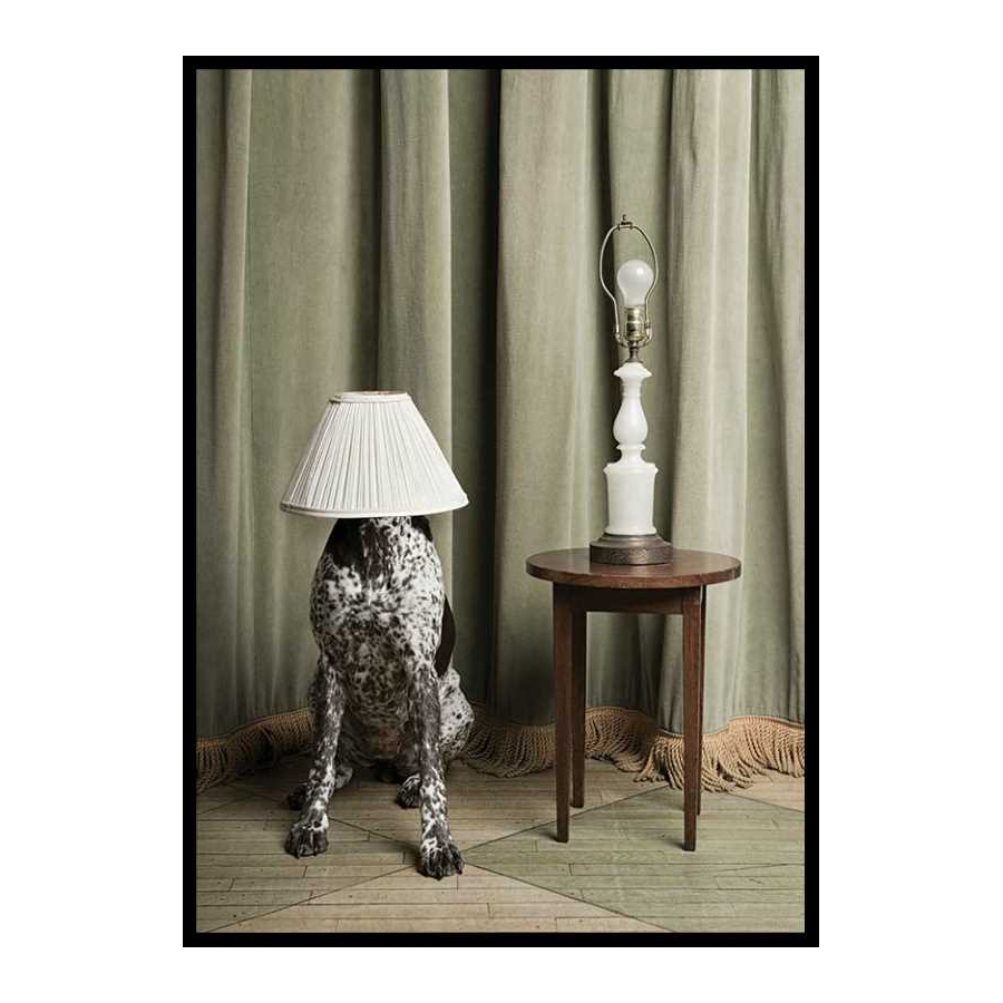 Poster Gallerix Hiding In Plain Sight