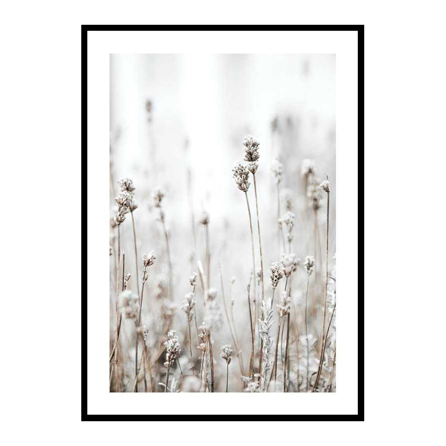 Poster Gallerix In The Wild