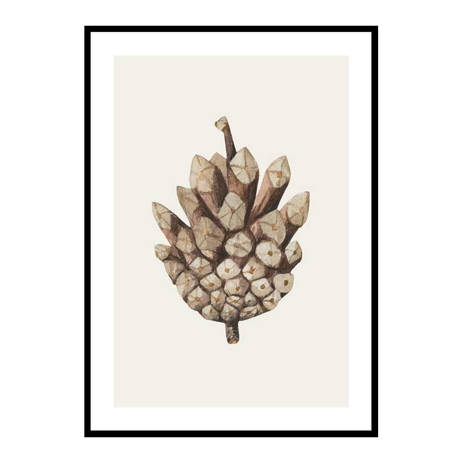 Poster Gallerix Painted Cone