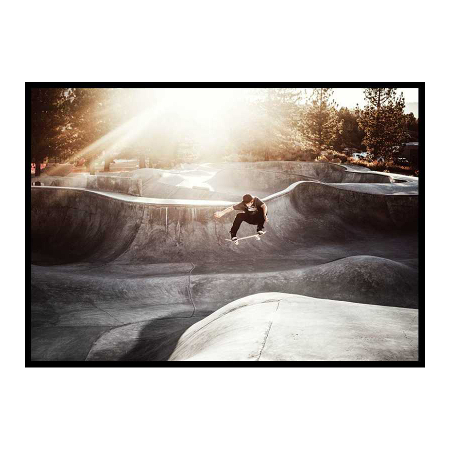 Poster Gallerix LA Skateboard Park