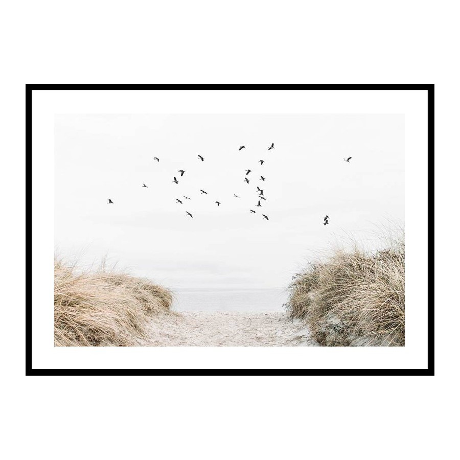 Poster Gallerix Free As A Bird Storlek: 21x30 cm