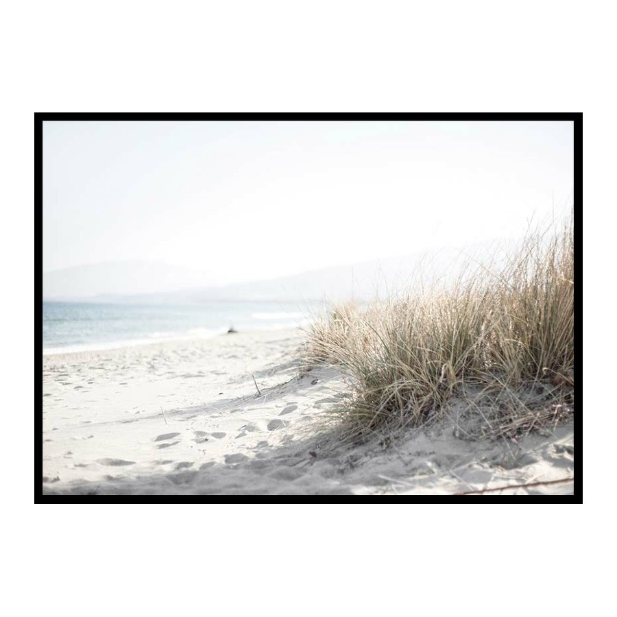 Poster Gallerix Marram Grass At Beach