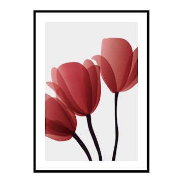 Poster Gallerix Red Tulips No2