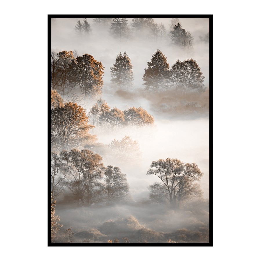 Poster Gallerix Autumn Forest