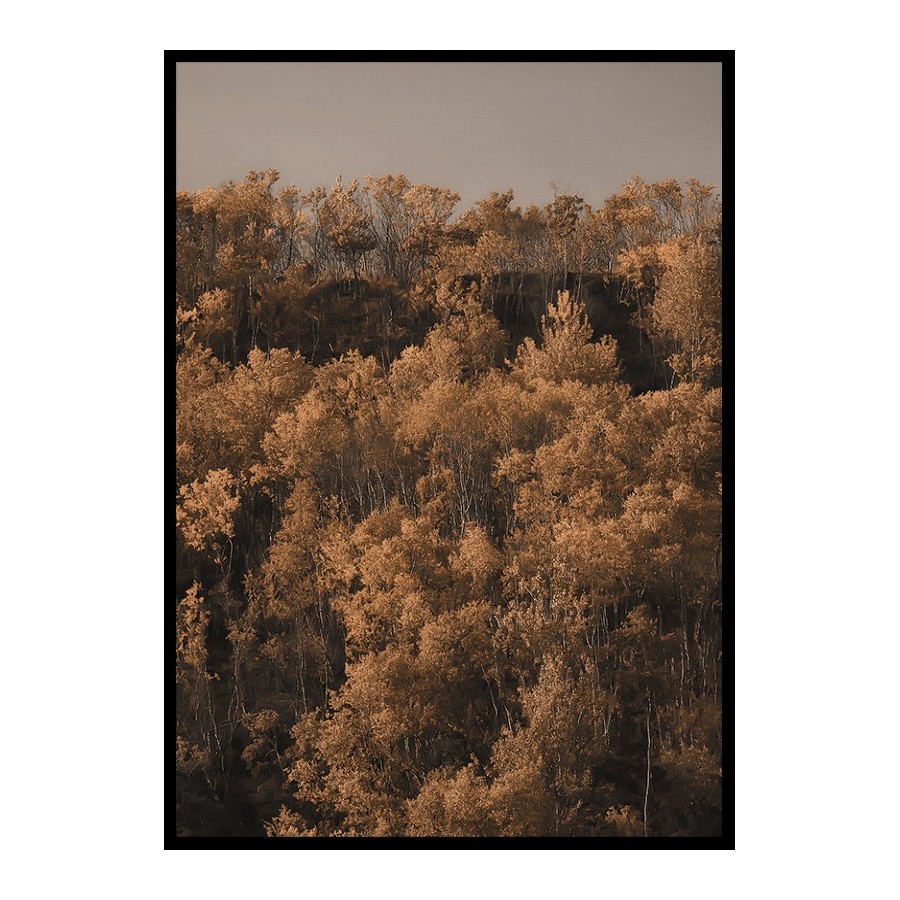 Poster Gallerix Autumn Colored