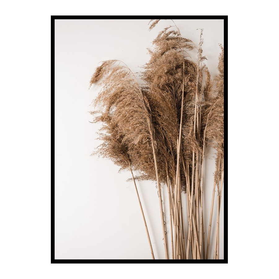 Poster Gallerix Dried Bouquet No3