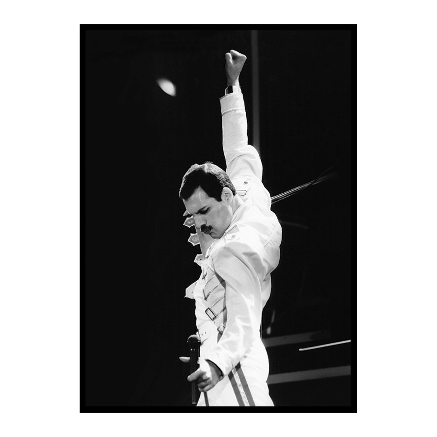 Poster Gallerix Freddie Mercury