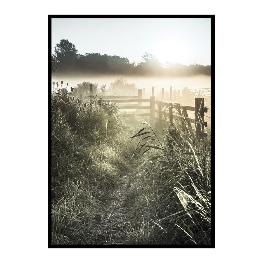Poster Gallerix Sunrise Over Countryside