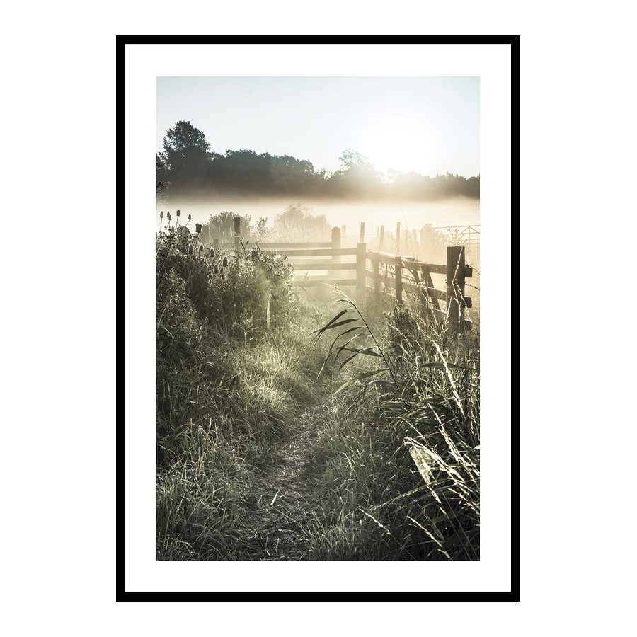 Poster Gallerix Sunrise Over Countryside