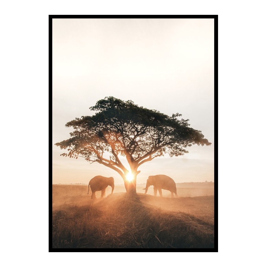 Poster Gallerix Elephants At Sunrise