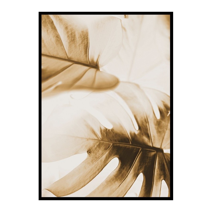 Poster Gallerix Golden Monstera Leaves