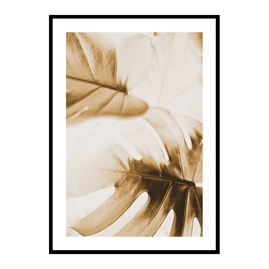 Poster Gallerix Golden Monstera Leaves