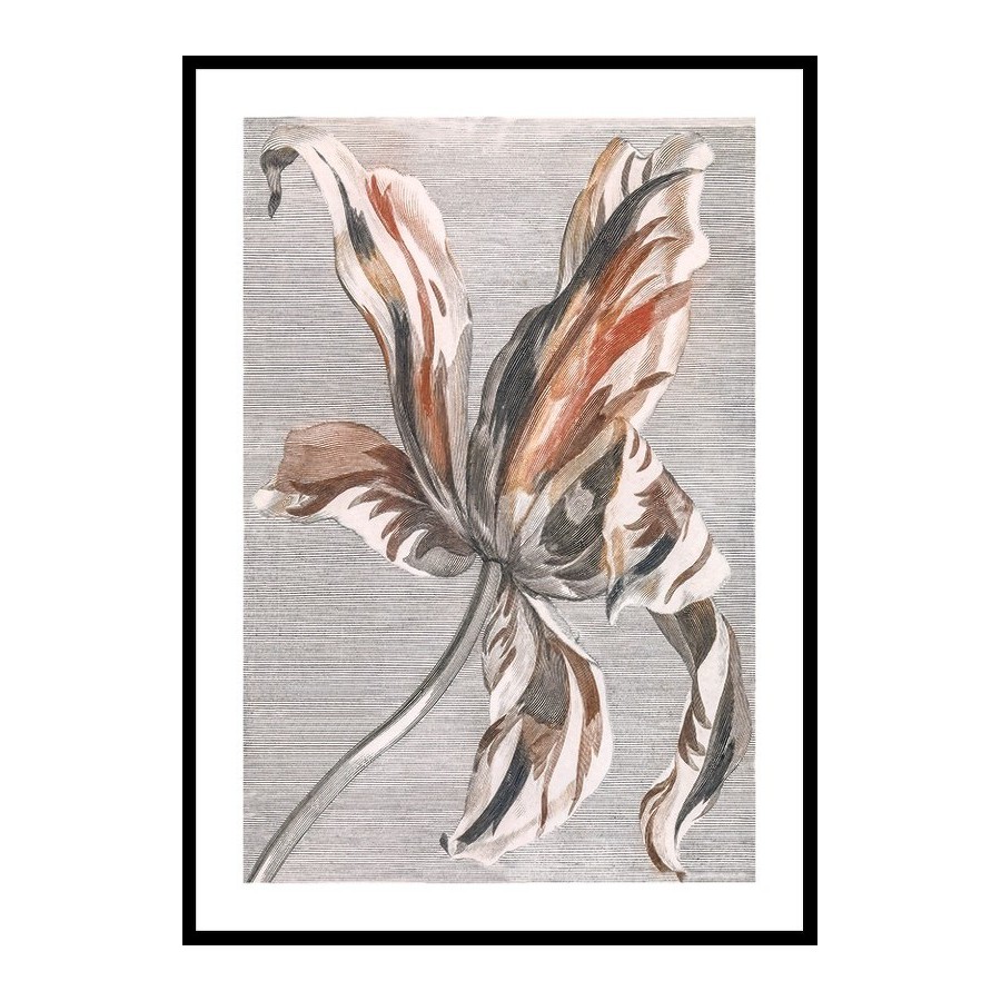 Poster Gallerix Tulip By Johan Teyler