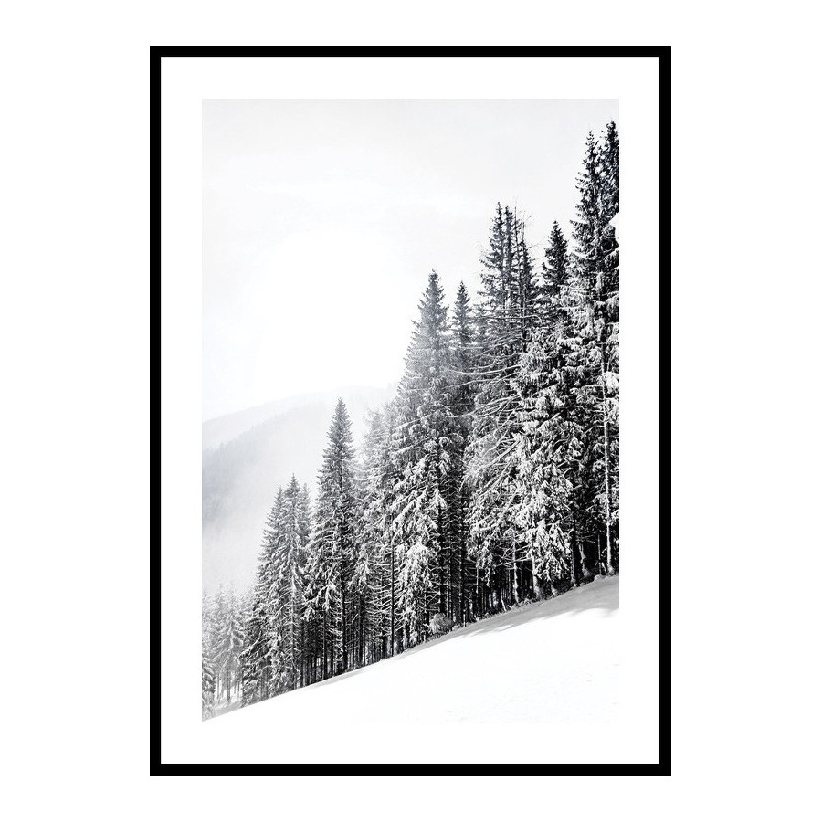 Poster Gallerix Snow Covered Trees