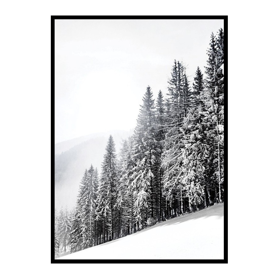 Poster Gallerix Snow Covered Trees