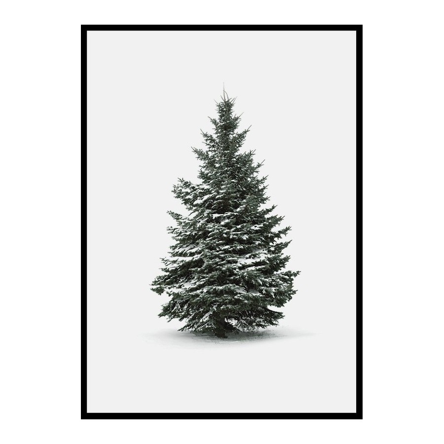 Poster Gallerix Winter Botany No4