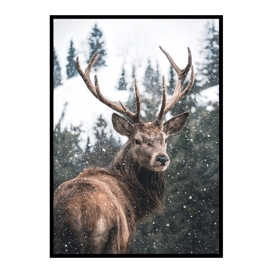 Poster Gallerix Winter Landscape Deer