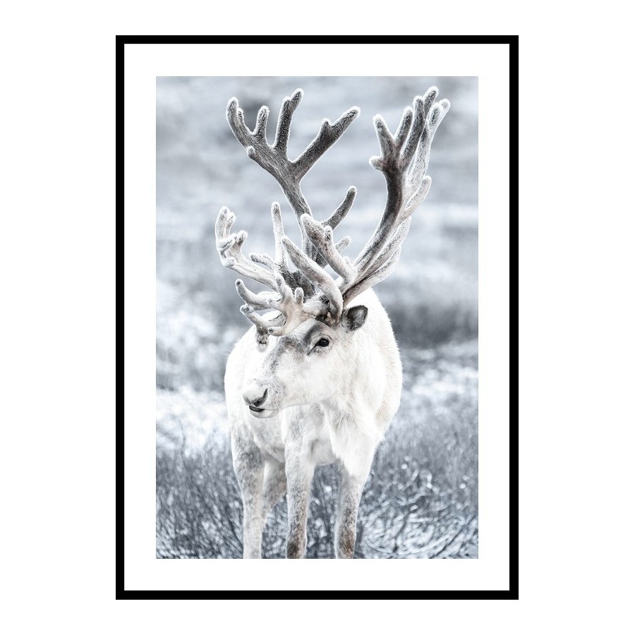 Poster Gallerix Reindeer