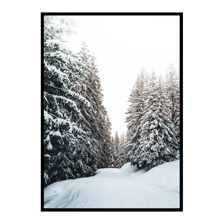 Poster Gallerix Snow Covered Road