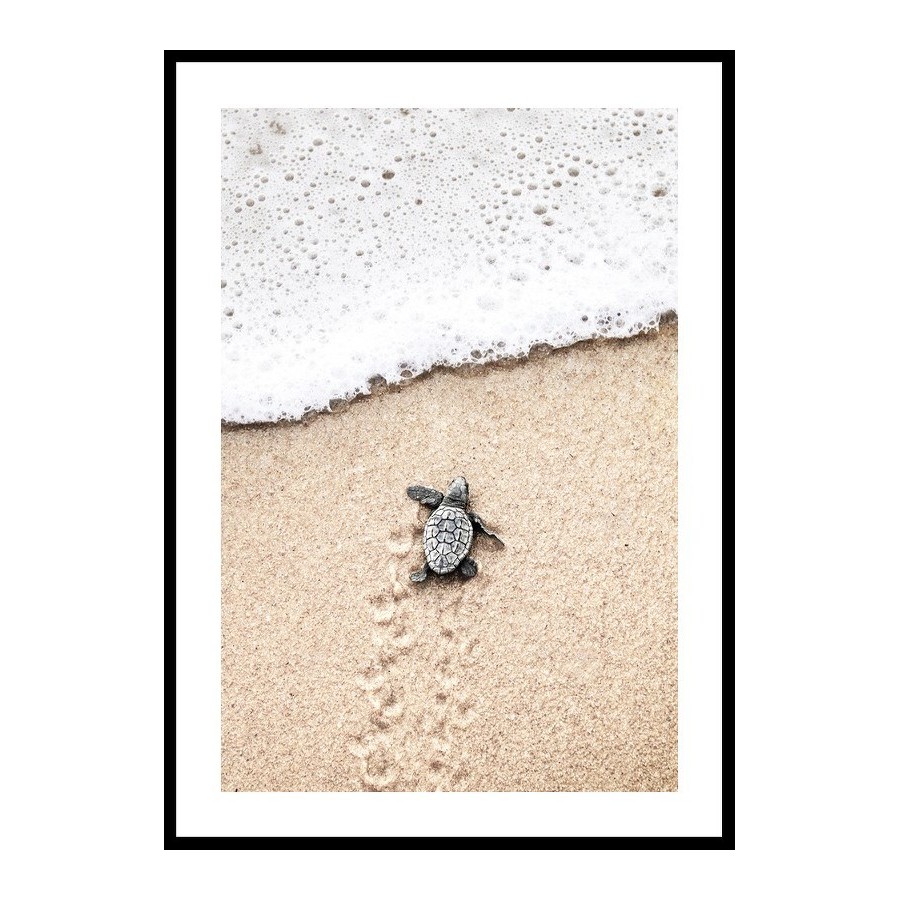 Poster Gallerix Baby Turtle On Beach