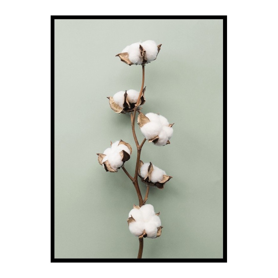 Poster Gallerix Cotton On Green