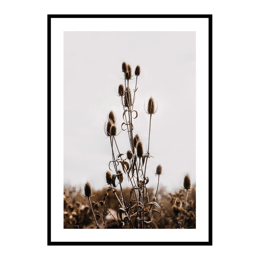 Poster Gallerix Reeds