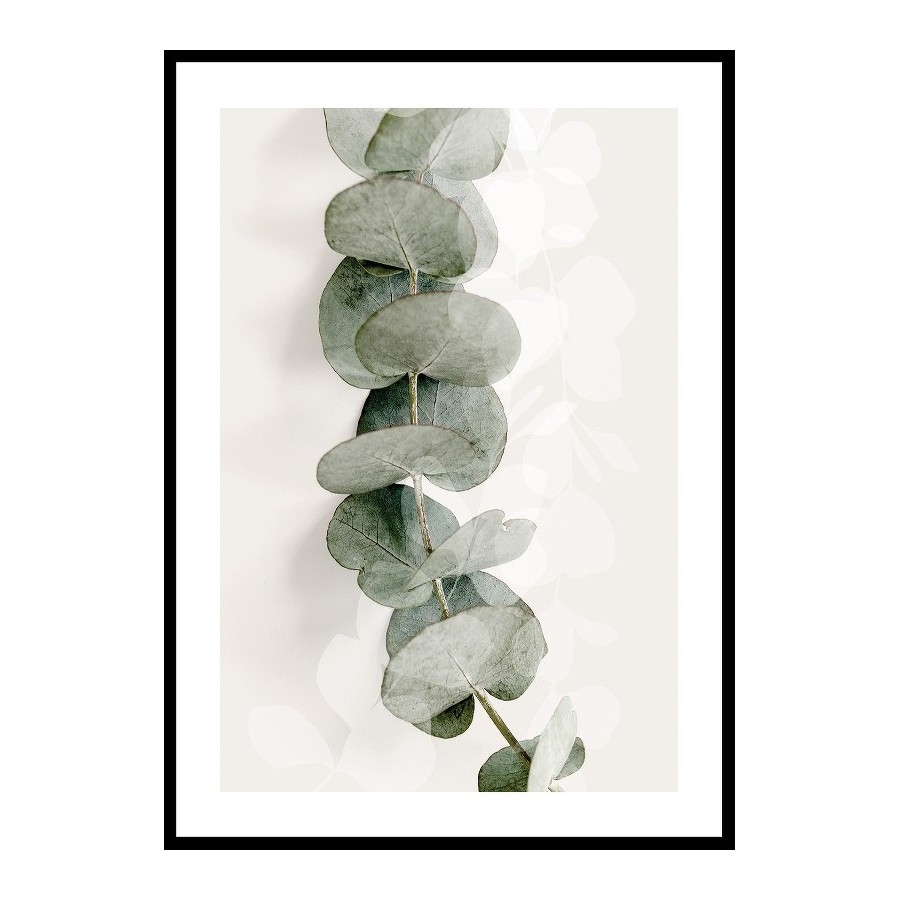 Poster Gallerix Eucalyptus No8