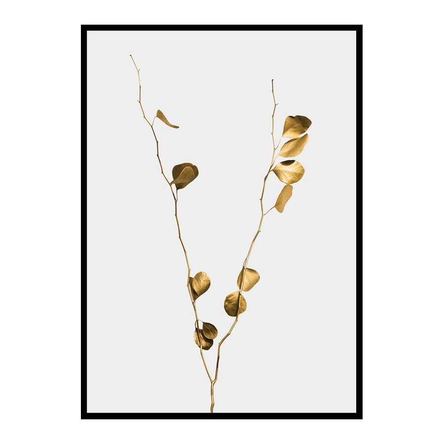 Poster Gallerix Eucalyptus Gold No1