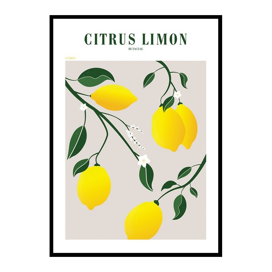 Poster Gallerix Citrus Limon
