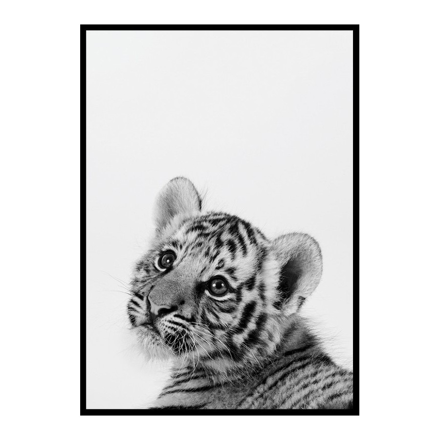 Poster Gallerix Tiger Cub