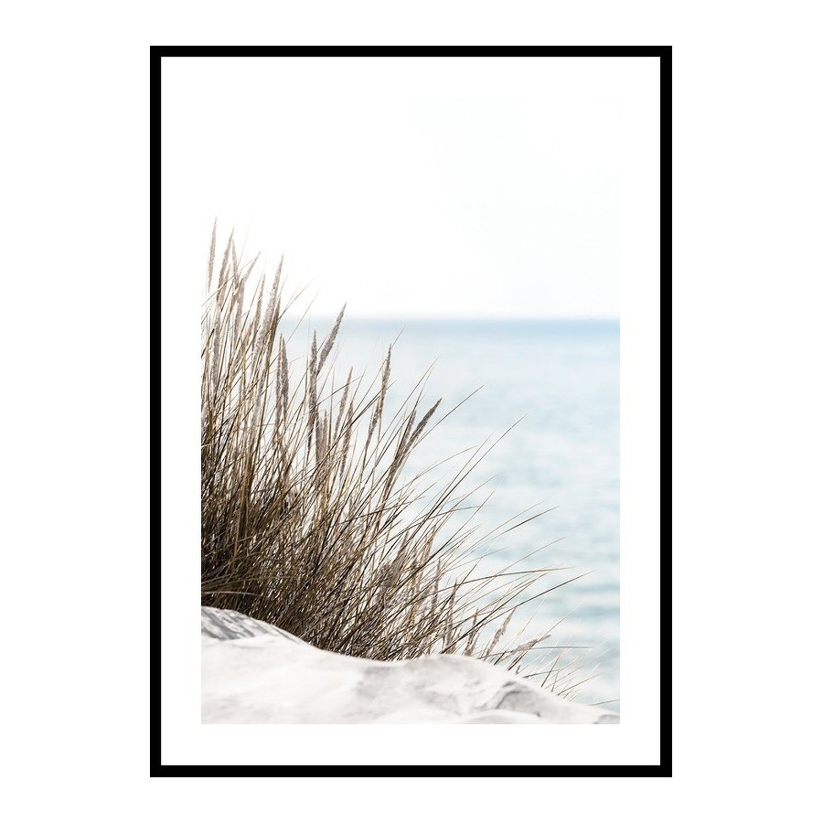 Poster Gallerix Grass At Beach