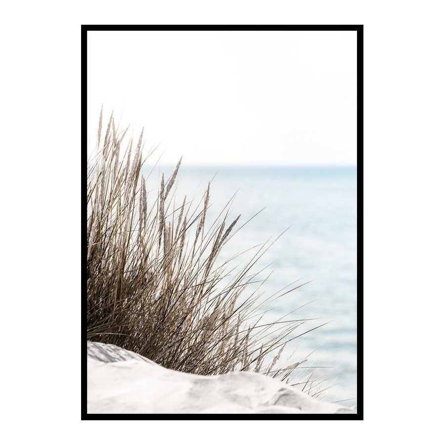 Poster Gallerix Grass At Beach