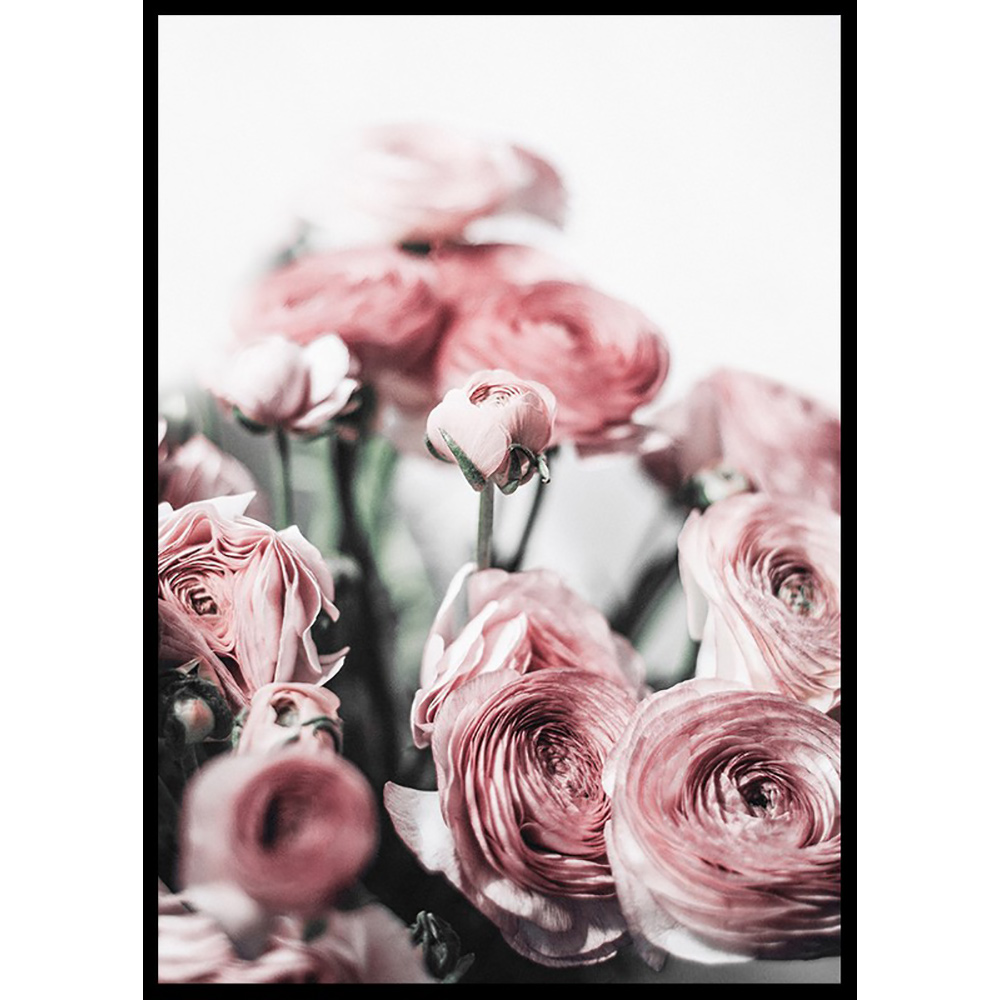 Poster Gallerix Pink Roses