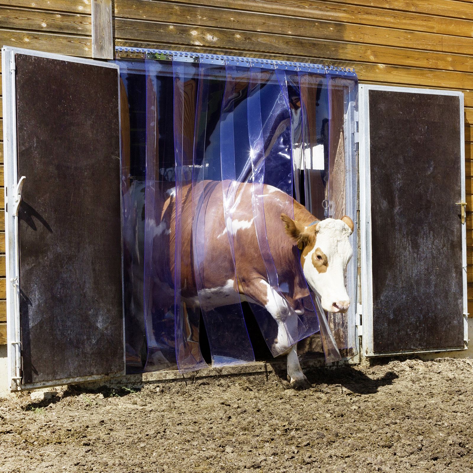 Hage, stall & ladugård