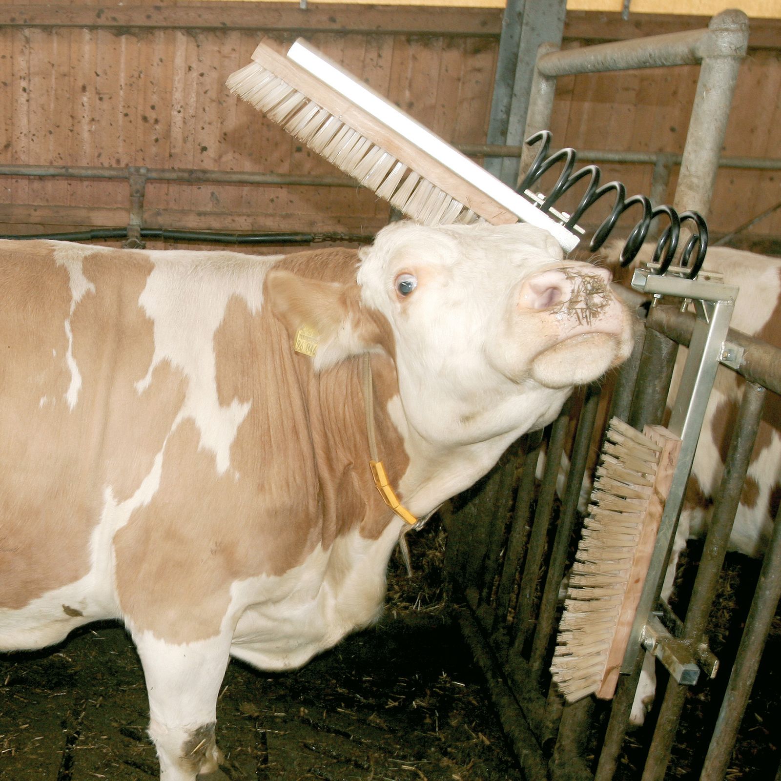 Övrigt stall & ladugård