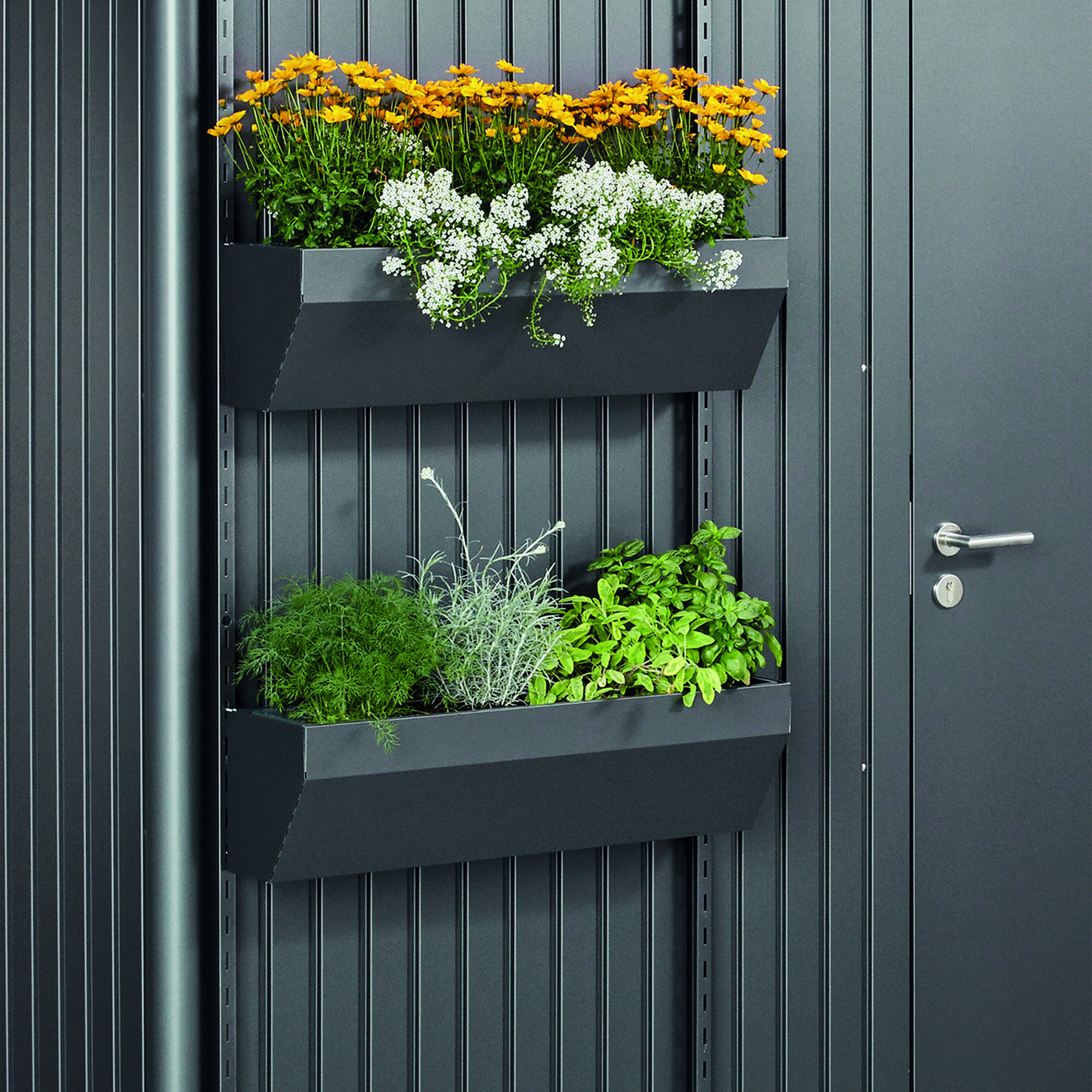 Blomlåda Biohort FloraBoard