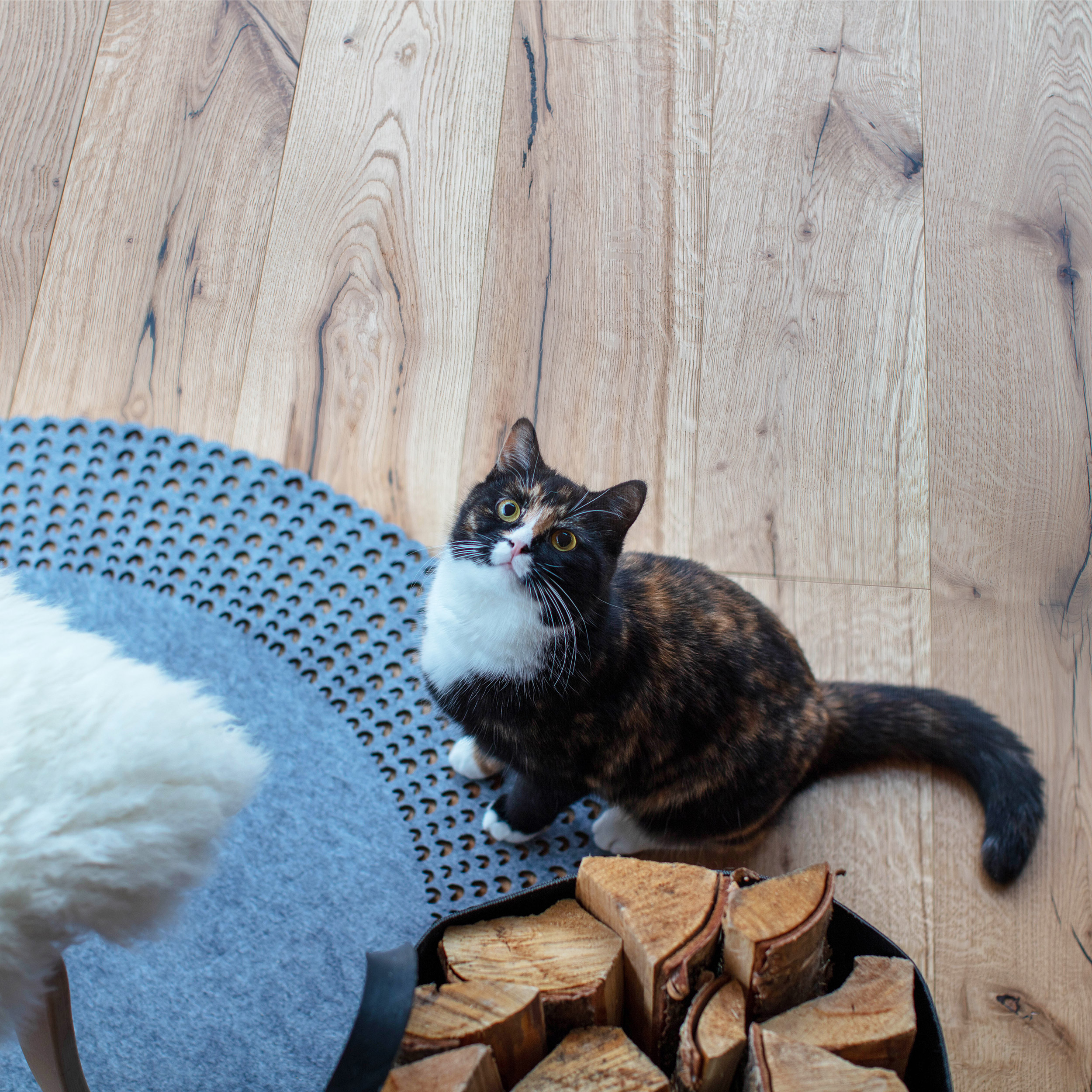 Trägolv Nordic Floor Ek Villa, Oljat 1-Stavs Parkettgolv