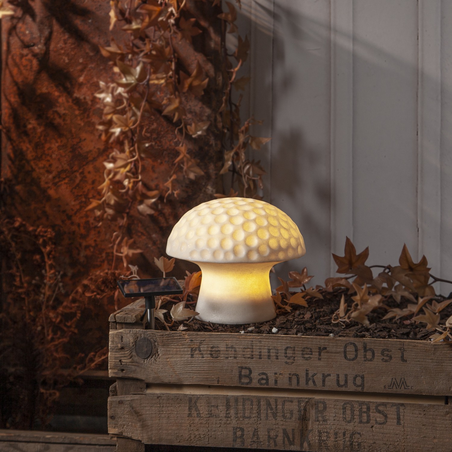 Solcellsdekoration Star Trading Sandy